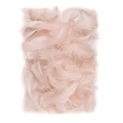 Abbildung von Netuno 150 Stück Deko Federn Nude 10g Flaumfedern Schmuckfedern Vogelfedern Bastelfedern Natur für DIY Basteln Dekoration Ostern Weihnachten Dekofigur