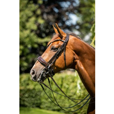 Abbildung von HB Showtime Double Bridle Special for You