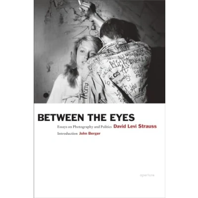 Abbildung von David Levi Strauss: Between the Eyes: Essays on Photography and Politics