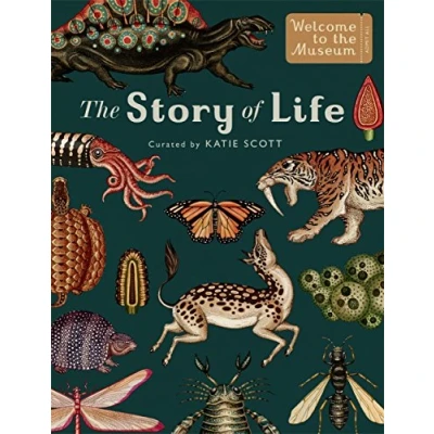 Abbildung von The Story of Life: Evolution (Extended Edition): by Ruth Symons and illustrator Katie Scott (Welcome To Museum)