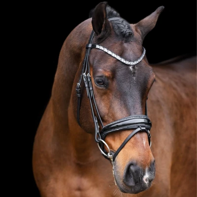 Abbildung von Imperial Riding FW&#039;23 Bridle Olympia