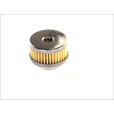 Abbildung von LPG Kraftstofffilter FILTRON PM999/12 TOMASETTO