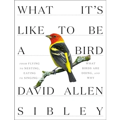 Abbildung von What It&#039;s Like to Be a Bird: From Flying Nesting, Eating Singing Birds Are Doing, and Why (Sibley Guides)