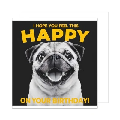 Abbildung von Edition Seidel Premium quadratische Geburtstagskarte mit Umschlag. Glückwunschkarte Happy Birthday Billet Tier Karte Spruch für Frau Mann cooler Hund Mops lustig Humor (GQ299 SW024)