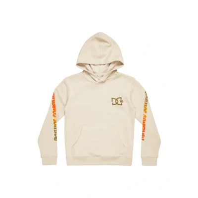 Abbildung von DC Shoes HOT BOX Kapuzenpullover für Kinder, Größe: 134/140, Sgb pelican