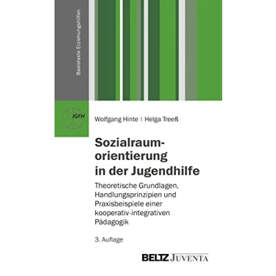 Abbildung von Sozialraumorientierung in der Jugendhilfe: Theoretische Grundlagen, Handlungsprinzipien und Praxisbeispiele einer kooperativen integrativen Pädagogik (Basistexte Erziehungshilfen)