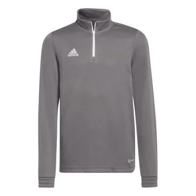 Abbildung von adidas Performance Entrada Sweatshirt für Kinder, Größe: 140, Tegrfo