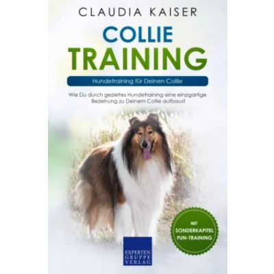 Abbildung von Collie Training Hundetraining für Deinen Collie: Wie Du durch gezieltes eine einzigartige Beziehung zu Deinem aufbaust