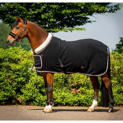 Abbildung von HB Show Rug Dutch Crown Europe Rose Schwarz 45/95 Agradi.deVerkauft von Agradi