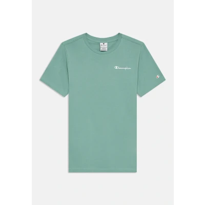 Abbildung von Champion Icons Contrast CREW NECK Unisex Tshirt basic für Kinder, Größe: 126/131, Light green