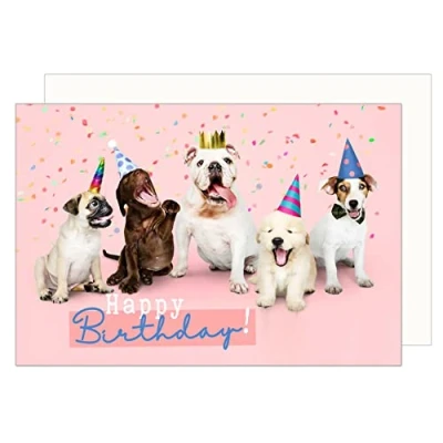 Abbildung von Edition Seidel Premium Geburtstagskarte mit Umschlag. Glückwunschkarte Billet Happy Birthday Grusskarte Mann Frau Tierkarte Hund Humor lustig (G3418 SW023)
