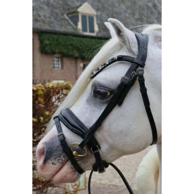 Abbildung von HB Zaum Special Schwarz Navy A Pony
