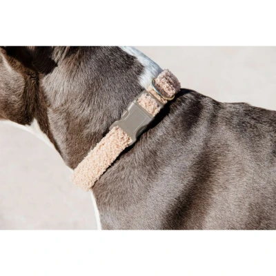 Abbildung von Kentucky Kragen Teddy Fleece Altrosa 36 52cm