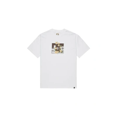 Abbildung von DC Shoes ROSE AND Thorn STAR Tshirt print, Herren, Größe: Medium, Wbb0 white