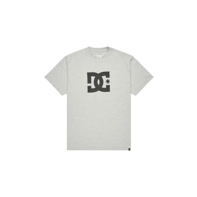 Abbildung von DC Shoes STAR HSS Tshirt print, Herren, Größe: Small, Sfrh light heather grey