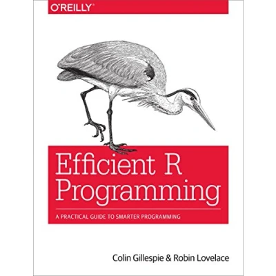 Abbildung von Efficient R Programming: A Practical Guide to Smarter Programming