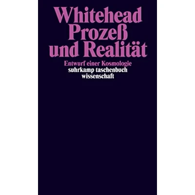 Abbildung von Prozeß und Realität: Entwurf einer Kosmologie (suhrkamp taschenbuch wissenschaft)
