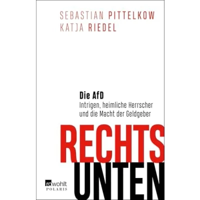 Abbildung von Rechts unten: die AfD: Intrigen, heimliche Herrscher und Macht der Geldgeber