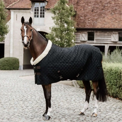 Abbildung von Kentucky Showdecke 160g Schwarz 80/115