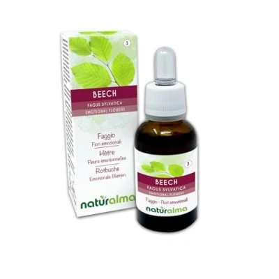 Abbildung von Beech oder Rotbuche (Fagus sylvatica) Bach Blüten Naturalma Tropfen 30 ml Alkoholfreier Flüssigextrakt Blütenessenzen Vegan und alkoholfrei