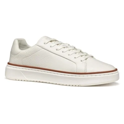 Abbildung von Geox Zackerty Sneaker low, Herren, Größe: 42, White Schuhe
