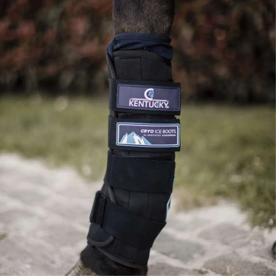 Abbildung von Kentucky Horsewear Ice Boots Cryo Schwarz Warmblut