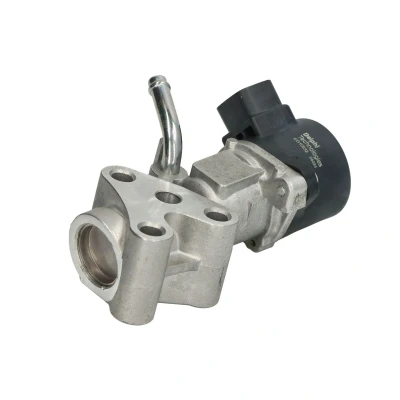 Abbildung von DELPHI EG10532 12B1 AGR Ventil elektrisch