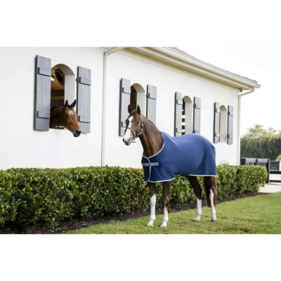 Abbildung von Amigo Jersey Cooler Pony Marineblau/Titangrau/SilberVerkauft von Agradi