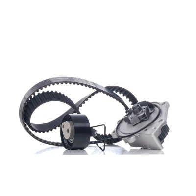 Abbildung von INA 530 0376 30 Wasserpumpe + Zahnriemensatz mit MG: MGF Convertible