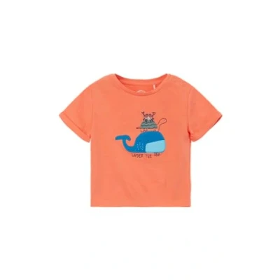 Abbildung von s.Oliver Junior Baby Boys 2130764 T Shirt, Kurzarm, orange 2350, 62