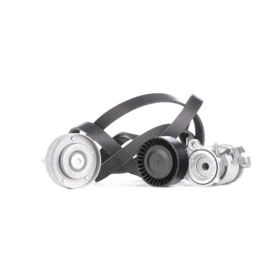 Abbildung von INA 529 0090 10 Keilrippenriemensatz Generatorfreilauf prüfen und ggf. erneuern SKODA: Fabia 1 Combi, I Hatchback, 2, SEAT: Ibiza 3