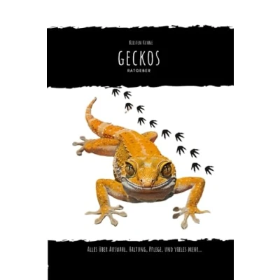 Abbildung von Geckos: alles über Auswahl, Haltung, Pflege und vieles mehr...