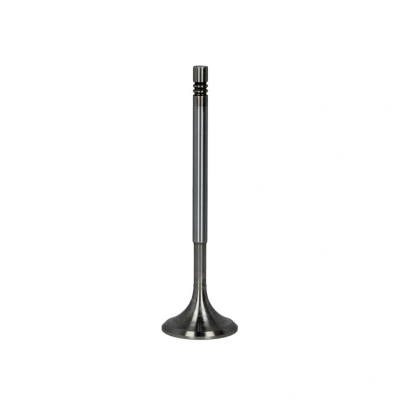 Abbildung von FRECCIA R6630/SCR Einlaßventil 30,5 Ventilschaft verchromt