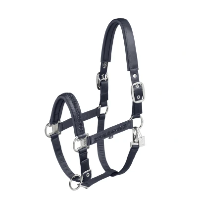 Abbildung von Eskadron SS25 Classic Halter Mattgloss Jewel Double Pin