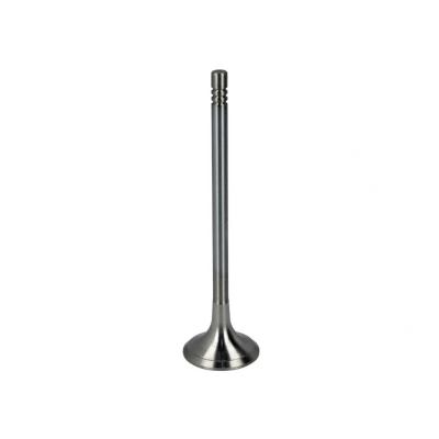 Abbildung von FRECCIA R6621/RCR Auslaßventil 24,6 Ventilschaft verchromt BMW: 3 Touring, 1 Hatchback, GT kfzteile, mister auto, atp autoteile, kfzteile24