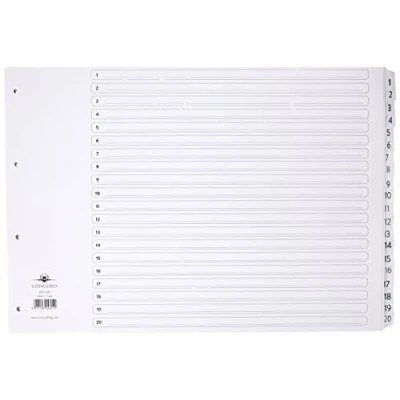 Abbildung von Concord 04801/CS48 Classic Register 1 20, mit Mylar Verstärkung und 4 fach Lochung, A3, Weiß