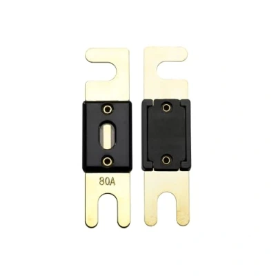 Abbildung von Offgridtec 80A 72V ANL Sicherung DIN43560/1 5er Set