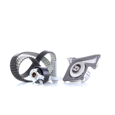 Abbildung von DAYCO KTBWP8860 Wasserpumpe + Zahnriemensatz RENAULT: Scénic IV, MEGANE 3 Grandtour, 3, DACIA: Lodgy, Duster Off Road, SANDERO 2