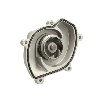 Abbildung von HEPU P690 Wasserpumpe mit Dichtung mechanisch