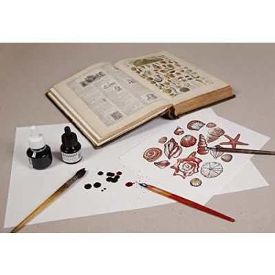 Abbildung von Clairefontaine 975401C Ries mit 50 Blatt Löschpapier, 29,7x42 cm 250g, 1 Ries, weiß