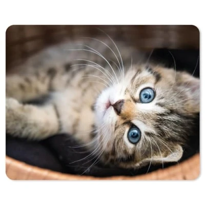Abbildung von younikat Mauspad mit Katzen Motiv und Spruch I Ø 22 cm rund Mousepad in Standard Größe lustig frech nö. Einfach dv_465