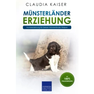 Abbildung von Münsterländer Erziehung: Hundeerziehung für Deinen Welpen