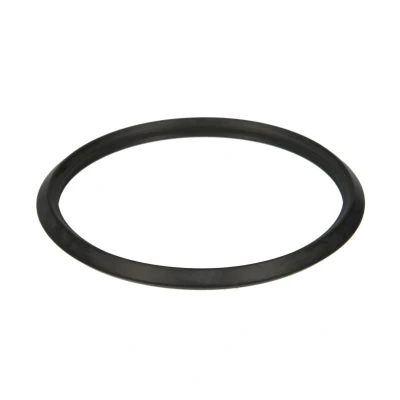 Abbildung von ELRING 495.980 Dichtung, Thermostat