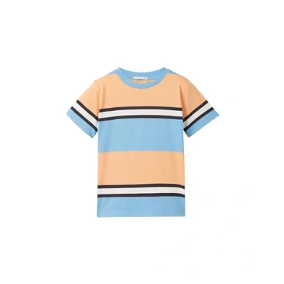 Abbildung von TOM TAILOR Print Shirt, im Color Blocking Design