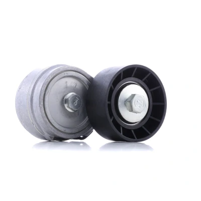 Abbildung von SNR GA358.85 Spannrolle FIAT: BRAVO 2, Doblo I Estate, Cargo, LANCIA: Musa