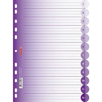 Abbildung von Brunnen 106659560 Ringbuchregister Colour Code (für Ordner und Ringbücher, aus PP, für A4, 12 Tabs) violett / purple