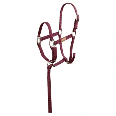 Abbildung von Premiere Fohlen Halster Set Brisk Mit Mini Line Rose Wine