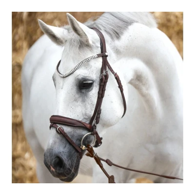 Abbildung von Kavalkade Bridle Everness