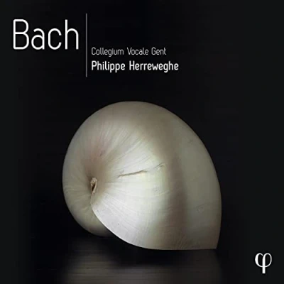 Abbildung von Bach