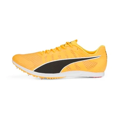 Abbildung von puma Evospeed Distance Spikes, Herren, Größe: 39, Sun stream black silver Mesh